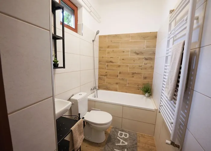 Fiesta Balaton * バラトンサールソー