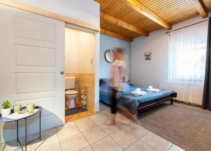 Fiesta Balaton * バラトンサールソー